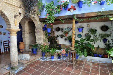 avlu çiçekler, Cordoba, İspanya ile dekore edilmiştir. 