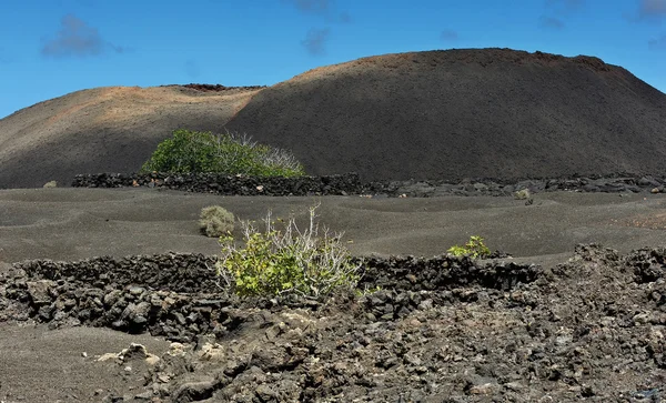 火山山在兰萨罗特岛岛，加那利群岛，西班牙 — 图库照片