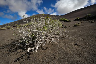 lanzarote Adası, Kanarya Adaları, İspanya, volkanik dağlar