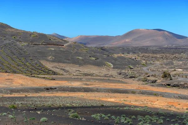 Sopečná krajina na ostrově Lanzarote, Kanárské ostrovy, Španělsko — Stock fotografie