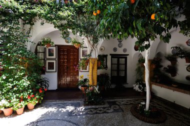 courtyard decorated with flowers, Cordoba, Spain  clipart