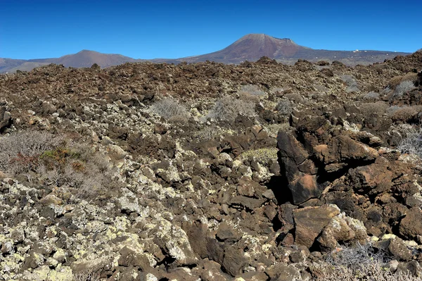 Volcanic landscape at Lanzarote Island, Canary Islands, Spain — Stock Photo, Image