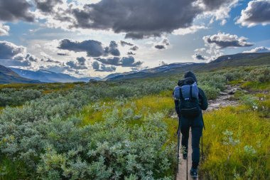 İsveç 'te King' s Trail 'de yürüyüş