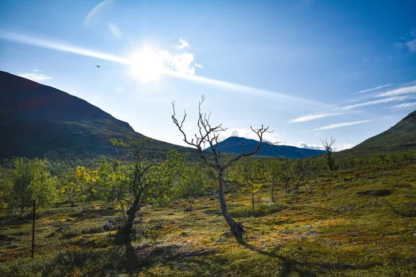 Подорож Королівському Шляху Швеція — стокове фото