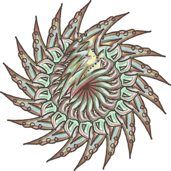 Beautiful ornamental colored star created by parrot head for your designs. Decorative 3d sharp-pointed green star for backgrounds and textures, holidays and events, wallpaper, prints, cards, textiles, etc.