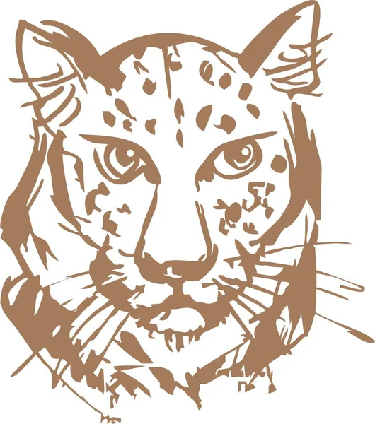 Leopard Head Sketch Brown Color White Backdrop Grunge Leopard Head — Stock Vector