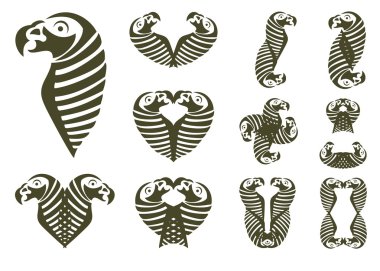 Kabile papağan seti