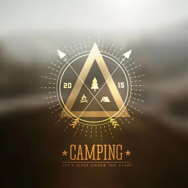 Étiquettes vectorielles camping avec fond bleu — Image vectorielle