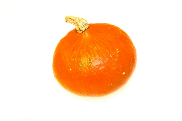 Calabaza aislada sobre fondo blanco — Foto de Stock