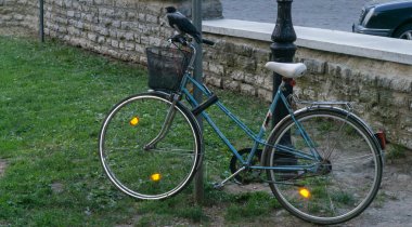 Bisiklet üzerinde tünemiş karga