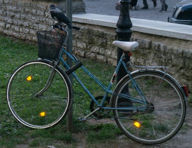 Bisiklet üzerinde tünemiş karga