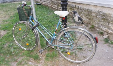 Bisiklet üzerinde tünemiş karga