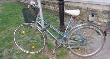 Bisiklet üzerinde tünemiş karga