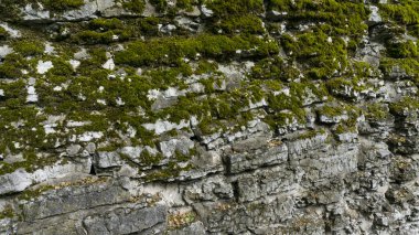 arka plan doku taş duvar. kaldırım