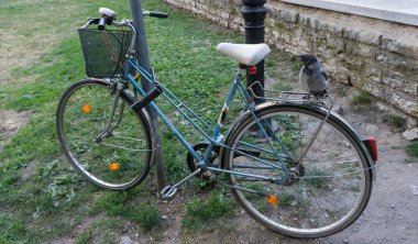 Bisiklet üzerinde tünemiş karga