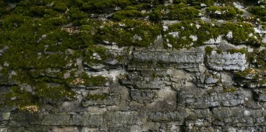 arka plan doku taş duvar. kaldırım