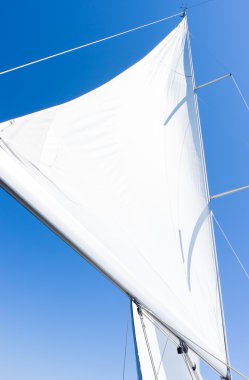 bir yelkenli tekne yelken. yelkenli yat su