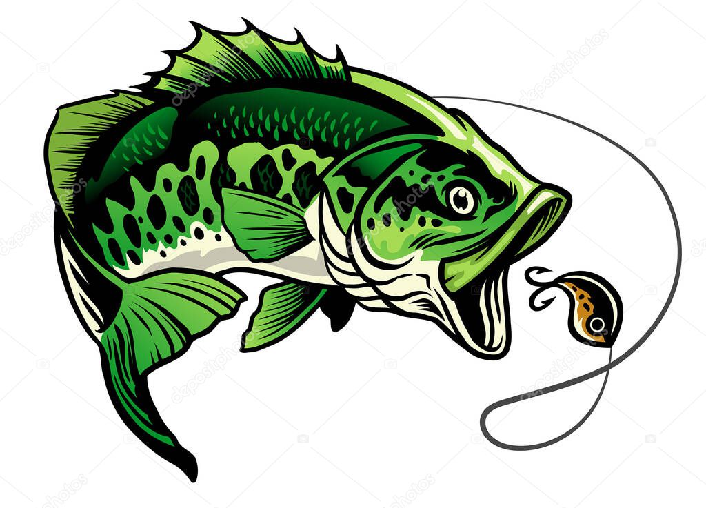 Bass fish catcing the fishing lure