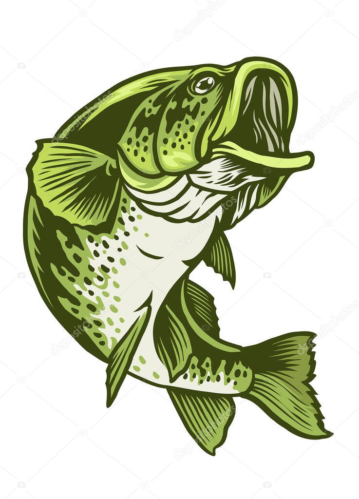 Vector hand drawn of largemouth bass fish