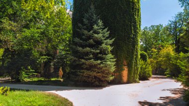 Su kulesinde Askania Nova