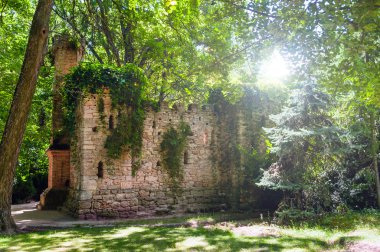 Askania-Nova binalarda