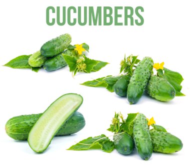 beyaz üzerine salatalık