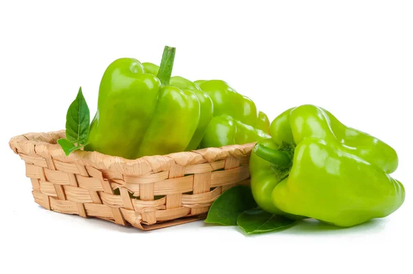 Peper geïsoleerd — Stockfoto