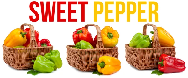 Peper geïsoleerd — Stockfoto