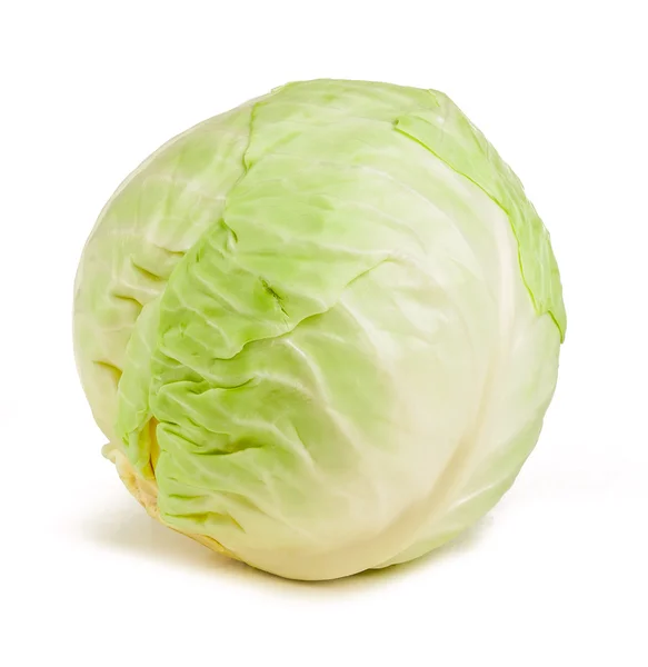 Cabbage isolated — Stock Photo, Image