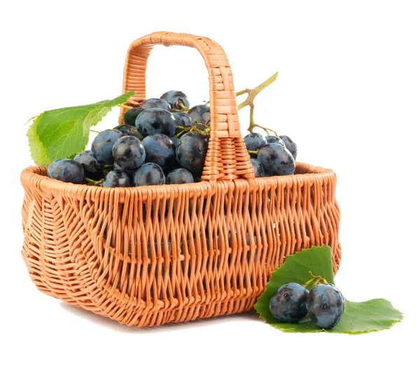 Uva in un cesto — Foto Stock