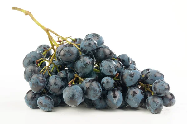 Bunch of grapes — Stock Photo, Image