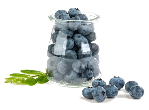 Blueberry isolated — Stock Photo, Image