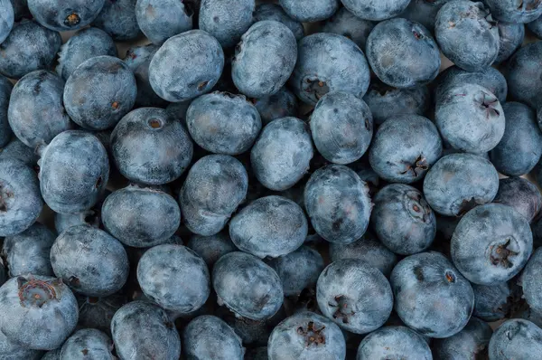 Blueberries background — Stock Photo, Image