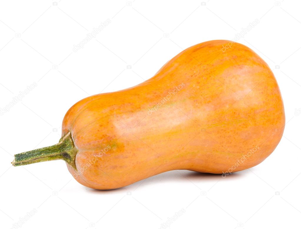 Pumpkin isolated