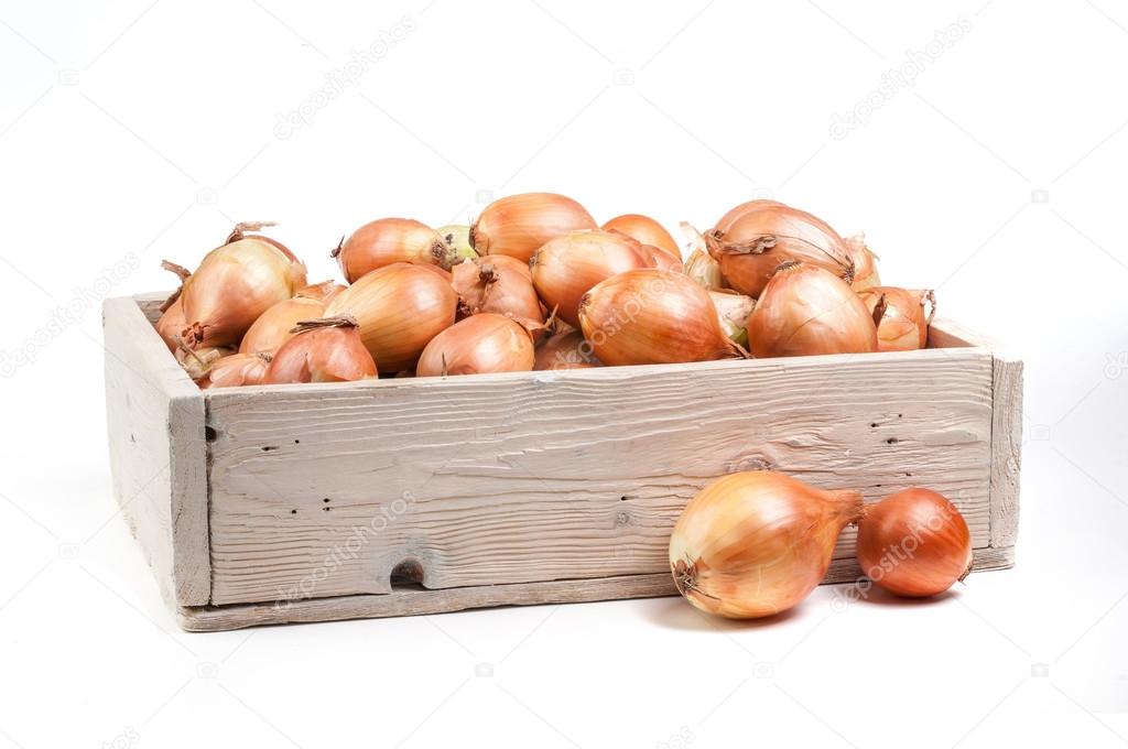 onion isolated