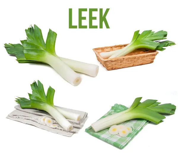 Leek isolado — Fotografia de Stock