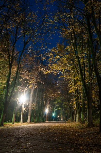 Νύχτα πάρκο — Φωτογραφία Αρχείου