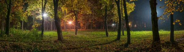 Parque nocturno — Foto de Stock