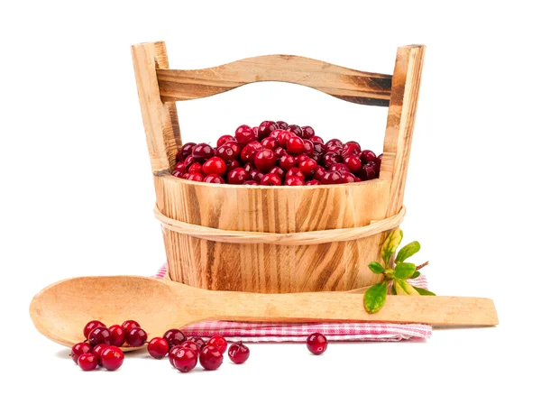 Cranberries isolated — Stock Photo, Image