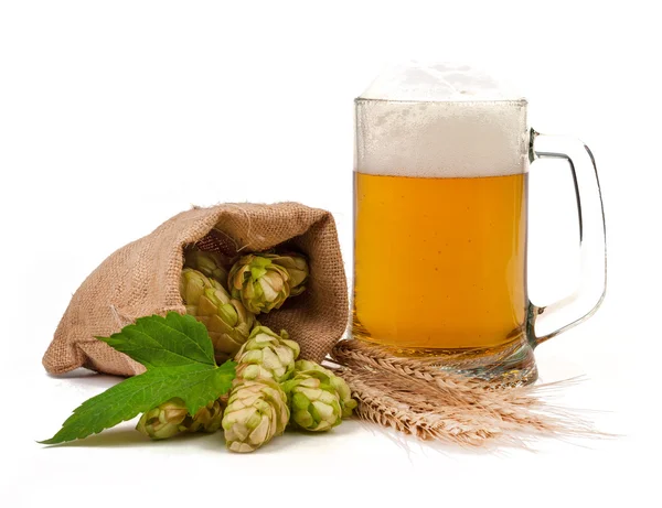 Beer isolated — Stock Photo, Image