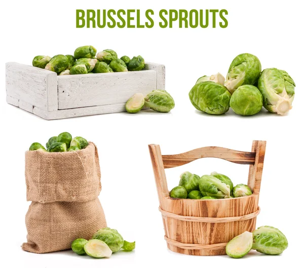 Brussels sprouts isolated — Stock Photo, Image