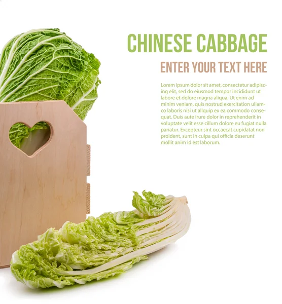 Chinese cabbage isolated — Stock Photo, Image