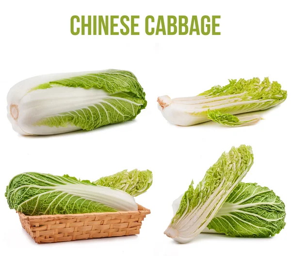 Chinese cabbage isolated — Stock Photo, Image