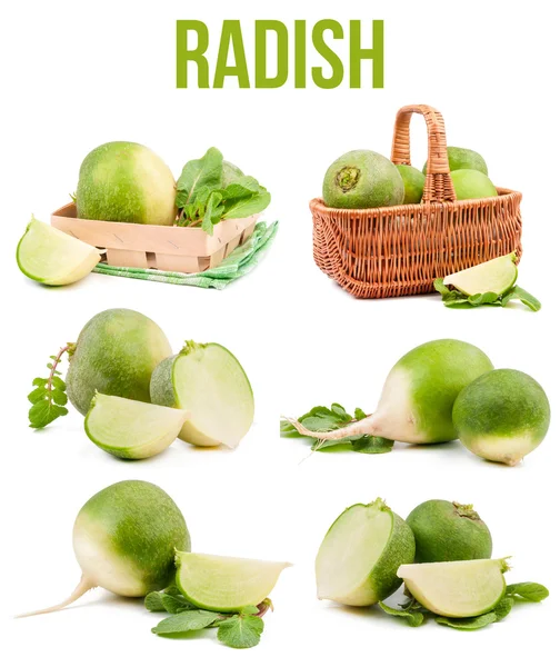 Green radish isolated — Stock Photo, Image