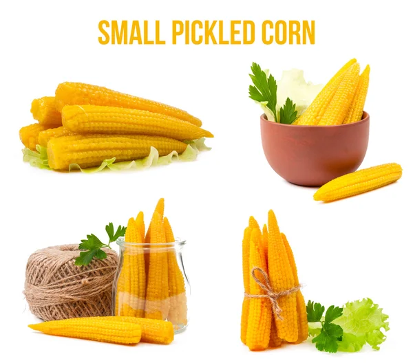 Small pickled corn isolated — Stock Photo, Image