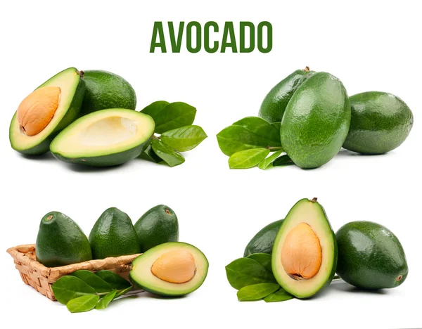 Avocado isolato — Foto Stock