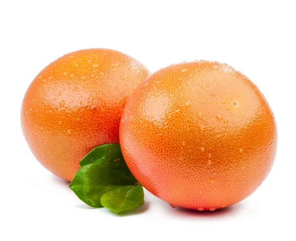 Twee grapefruit met bladeren geïsoleerd — Stockfoto