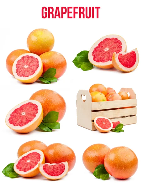 Set van zes composities grapefruits geïsoleerd — Stockfoto