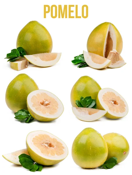 Conjunto de seis composiciones pomelo aislado — Foto de Stock