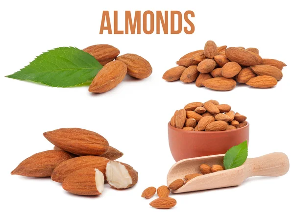 Conjunto de cuatro composiciones almendras aisladas —  Fotos de Stock